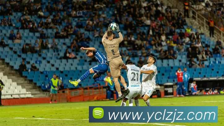 星空体育APP 封面图